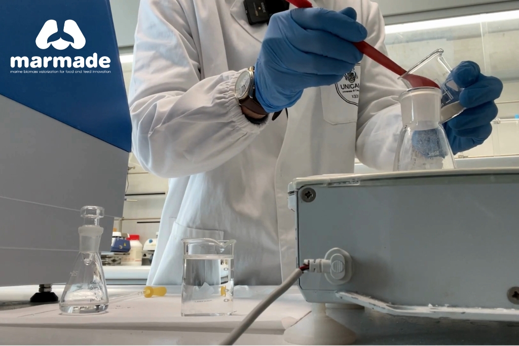 From Lab to Value: MARMADE in Action