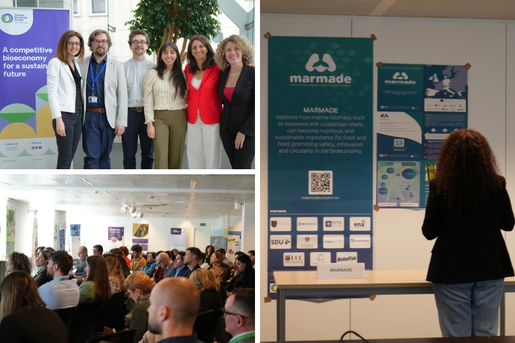 MARMADE-joins-CBEJU-Cluster-Workshop-photo