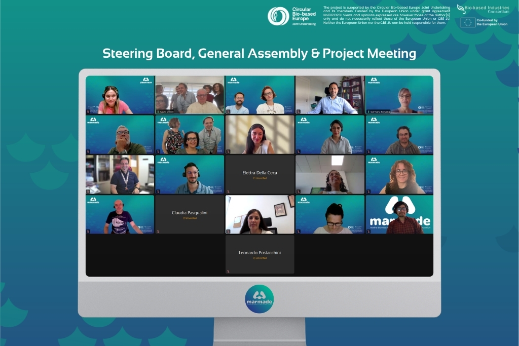 Steering-Board-General-Assembly-and-Project-Meeting-inpage