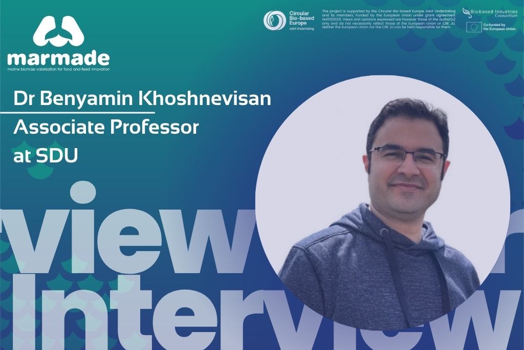 https://marmade-project.eu/voices-of-marmade-associate-professor-benyamin-khoshnevisan-inpage