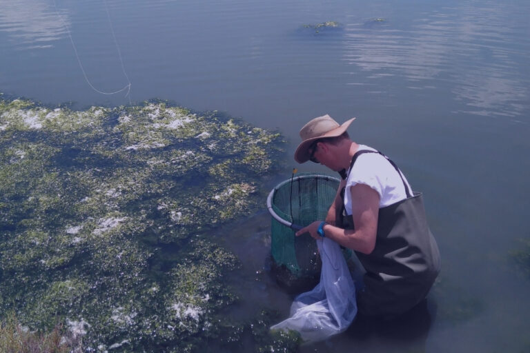 marine-biomass-inpage