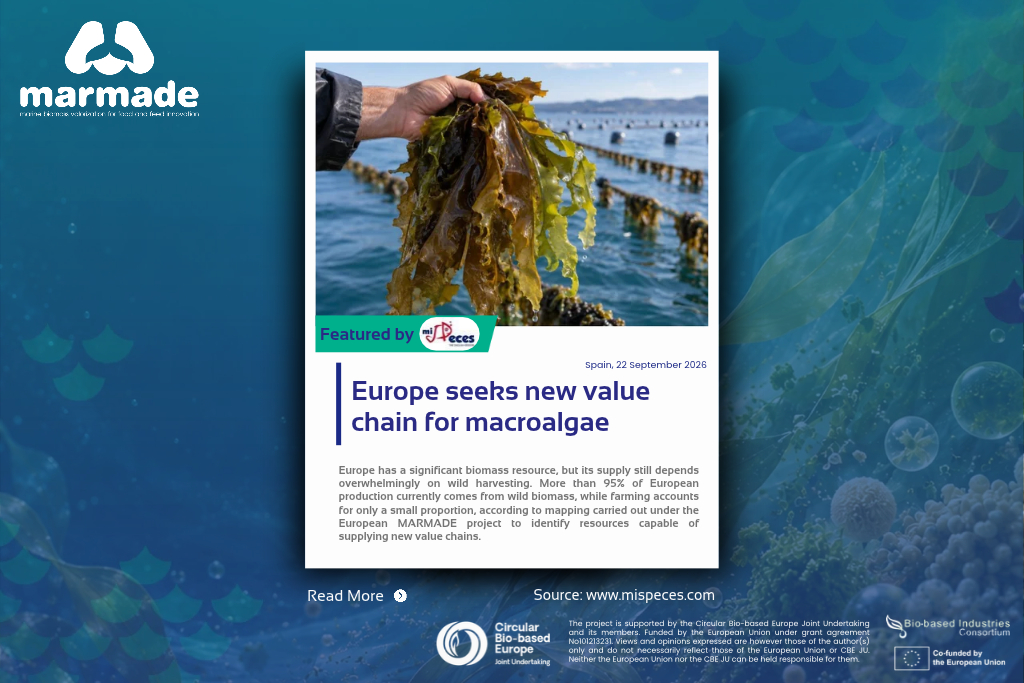 Mapping Europe’s macroalgae biomass: new insights from MARMADE